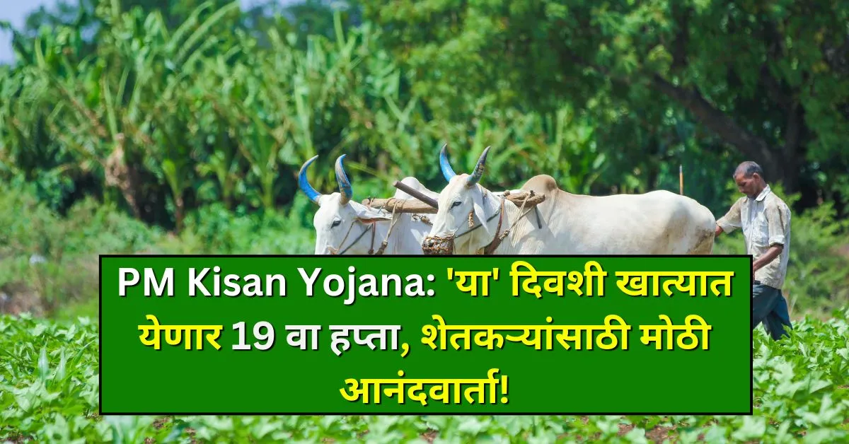 maharashtra pm kisan yojana 19th installment date