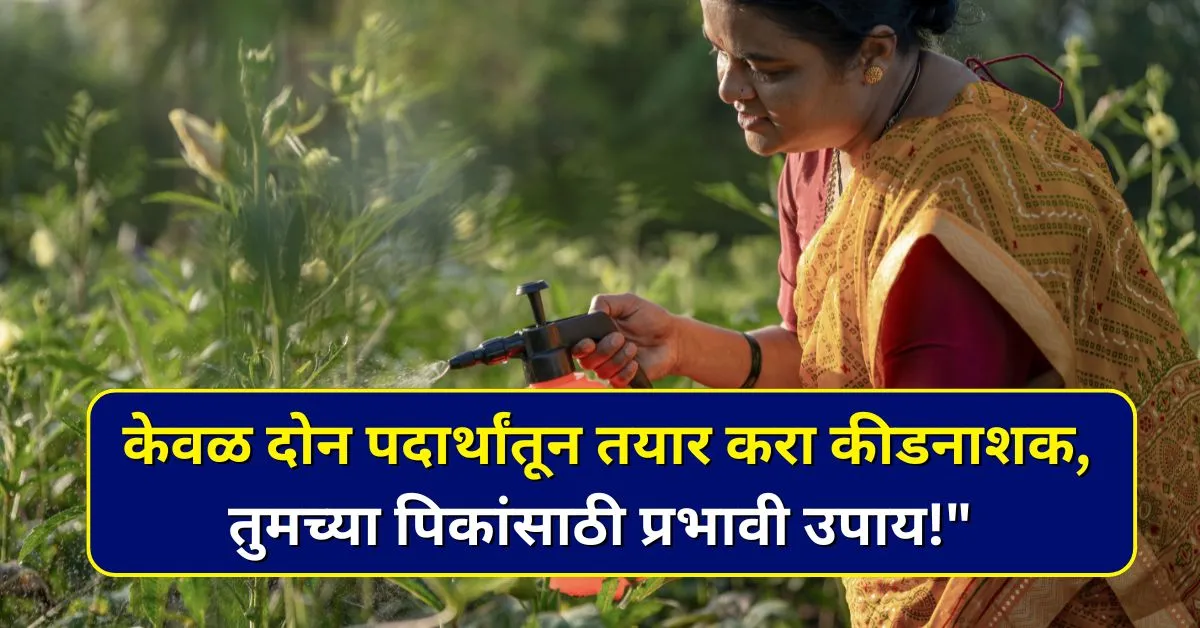 How to make natural pesticides in marathi for plants