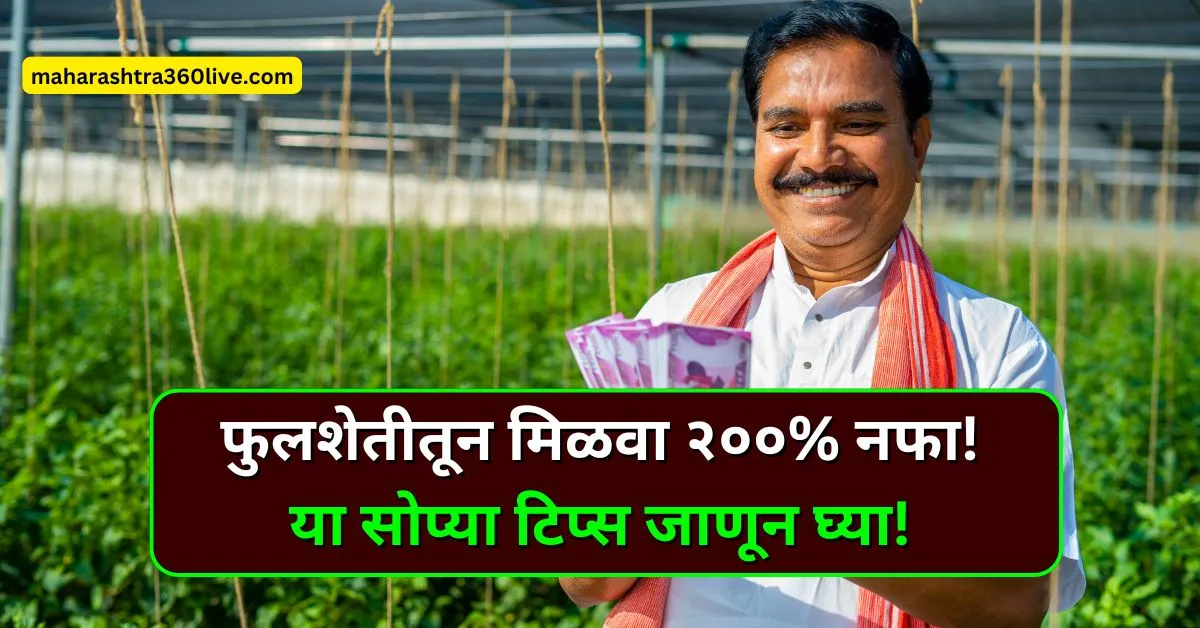 how to get more profit from flower farming in maharashtra, फुलशेतीतून जास्त नफा कसा मिळवायचा?