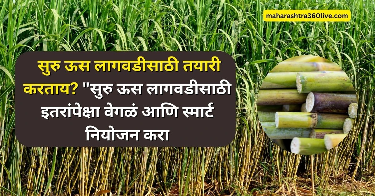 suru us lagwad maharashtra